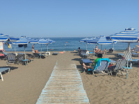 img20250810174116.jpg