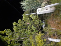 20260809_234536.jpg