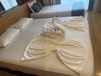 img_3790.jpeg