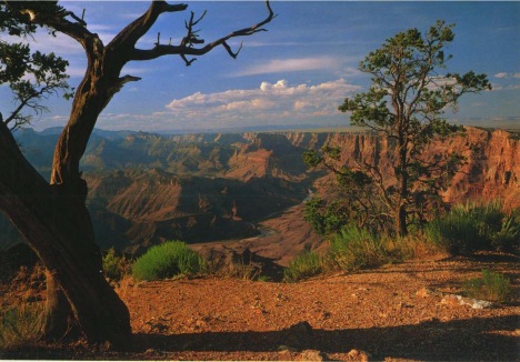 USA (štát Arizona) - Grand Canyon NP - 1