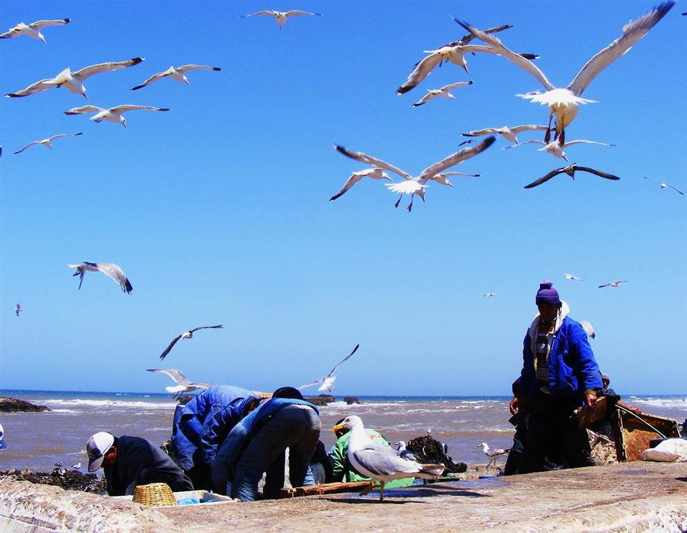 Maroko: Marakéš, Essaouira a výlet k Atlasu