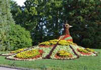 Rozprávkové Švajčiarsko a ostrov kvetov Mainau - 4