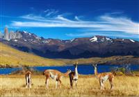 Patagónia, Argentína, Brazília + Buzios - 3