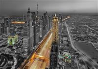 Millennium Plaza Hotel Dubai - hotel - 2