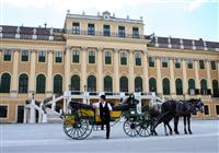 ZOO Viedeň, zámok Schönbrunn a jeho krásne záhrady - 4