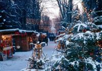 Najkrajšie adventné trhy - Vianočný Steyer, poznávací zájazd, Rakúsko - 4