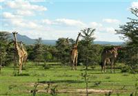 Keňa, Zanzibar (13 dní) - 2020# - Hľadajte prvé gazely thomsonove a grantove, zebry a dlhé žirafie krky trčiace ponad akácie. - 4