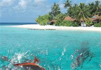 Kuramathi Island Resort - Beach Villa ****  - 2