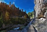 Erlaufboden - Otschergraben, poznávací zájazd, Rakúsko - 2