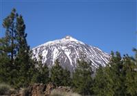 Kanárske ostrovy - Tenerife (juh) trošku inak - 4