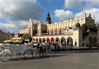 Školský výlet: Krakow - Wieliczka - 4