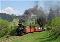 Čierny Balog, Čiernohronská železnička a Lesnícky skanzen - 4