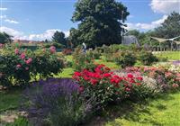 Arabelin hrad Bouzov, historický Olomouc a krásne arborétum - 2