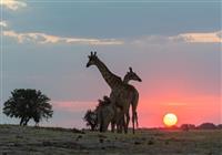 Victoria Falls & NP Chobe & delta Okavanga (predĺženie) - 4