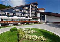 Hotel Breza - 2