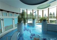 Ensana Thermal Aqua Health Spa - 2