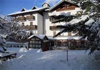 Hotel Alle Rose - 4