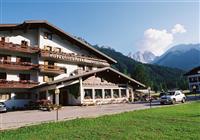 Hotel Stella Alpina - 4