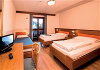 Smart & Family Hotel Alpin Haus - 2