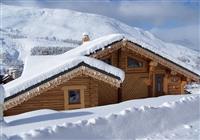 Chalet Leslie Alpen - 4