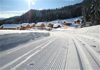 Hagan Lodge Alpen Park - (© Hagan Lodge Alpen Parks - Salzkammergut Touristik) - Lyžovačky v Alpách  Formula F1  Dovolenka na - 2