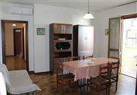 Apartmány Oasi (Alba Adriatica) - 4