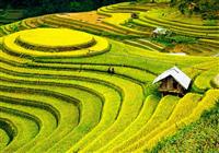 Vietnam a Čína - Mu Cang Chai - 2