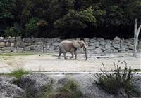 Schönbrunn Zoo a Zámok - Schönbrunn Zoo a Zámok, poznávací zájazd - 4