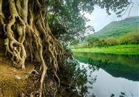 Omán - tajomný Salalah - Omán - tajomný Salalah a príroda - 2