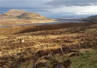 Škótsko: Edinburgh, gajdy, whisky a hrady - Škótska vysočina, neskorá jeseň. Foto: Peter Droba, BUBO - 2