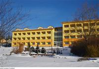 Wellness Hotel Frymburk - 4