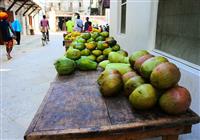 Zanzibar: Ostrov korenia a krásnych pláží - Pláž - 3