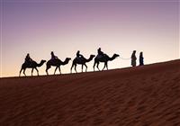 Maroko s deťmi - Z mestečka Merzouga vyrazíme ešte za tmy. Na ťavách budeme stúpať po dunách na miesto, odkiaľ zažije - 2