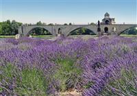 Okúzľujúce Provensálsko - Avignon, Francúzsko - 4