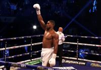 Box: Joshua vs Franklin (letecky) - 4