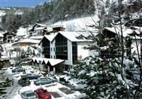 Aparthotel Des Alpes - 4