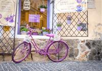 Szentendre, malebné mesto umelcov a skanzen - 4