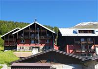 Hotel ALPEN VILLAGE  - 4