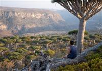 Sokotra, Jemen - 20 rokov skúseností - Nespútaná príroda, ktorá si žijem svojím endemickým životom - 3