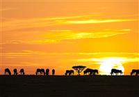 Tanzánia - safari s pobytom na Zanzibare s českým sprievodcom - 4