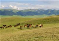 Kazachstan - po stopách nomádskych kmeňov - 2