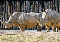 Nádherná ZOO Zlín a zámok Lešná - 3