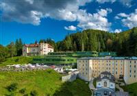 Wellness pobyt s dopravou a polopenzí v ceně v hotelu Sofijin Dvor - 3