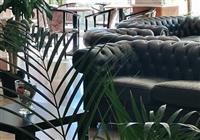 Hotel Artide - Hotel ARTIDE Rimini Taliansko, dovolenka s  autobusovou alebo vlastnou dopravou - 3