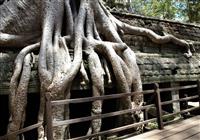 Kambodža - Angkor Wat a posvätné pobrežie - 4